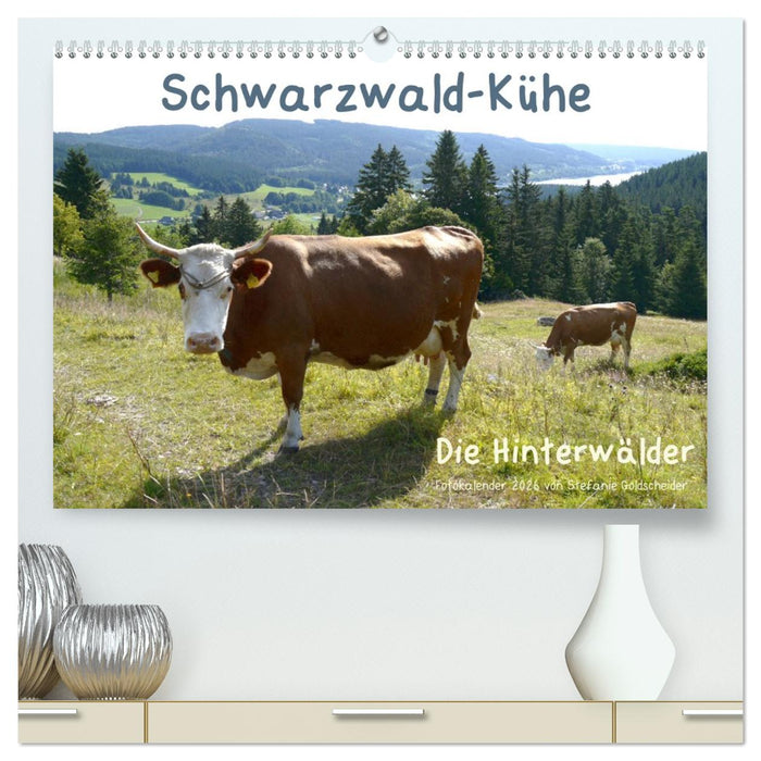 Schwarzwald-Kühe - Die Hinterwälder (CALVENDO Premium Wandkalender 2026)