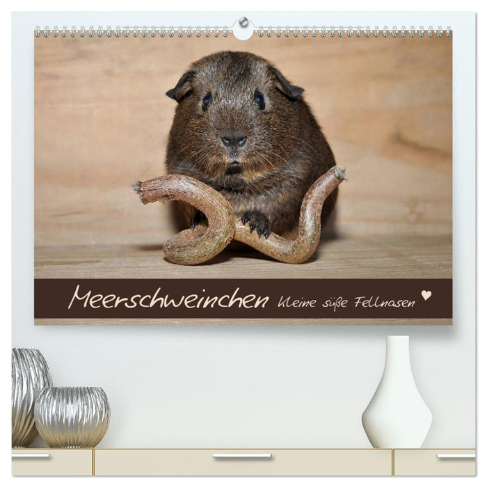 Meerschweinchen - Kleine süße Fellnasen (CALVENDO Premium Wandkalender 2026)