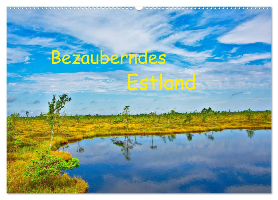 Bezauberndes Estland (CALVENDO Wandkalender 2026)
