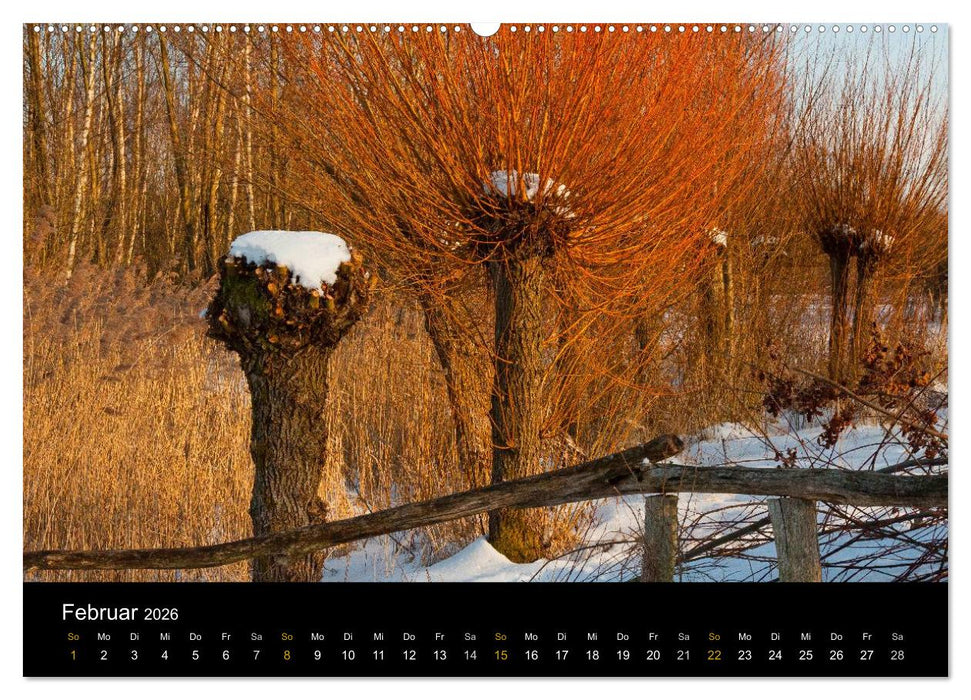 Brandenburg - Landschaften zwischen Elbe und Oder (CALVENDO Premium Wandkalender 2026)