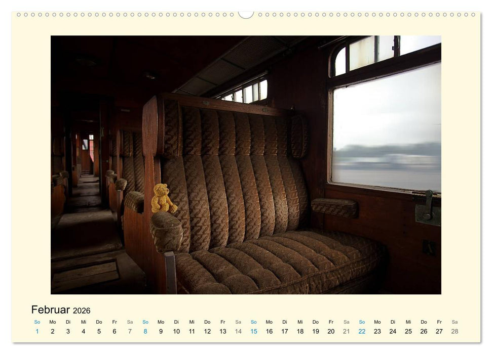 Herr Bär urban explorer (CALVENDO Premium Wandkalender 2026)