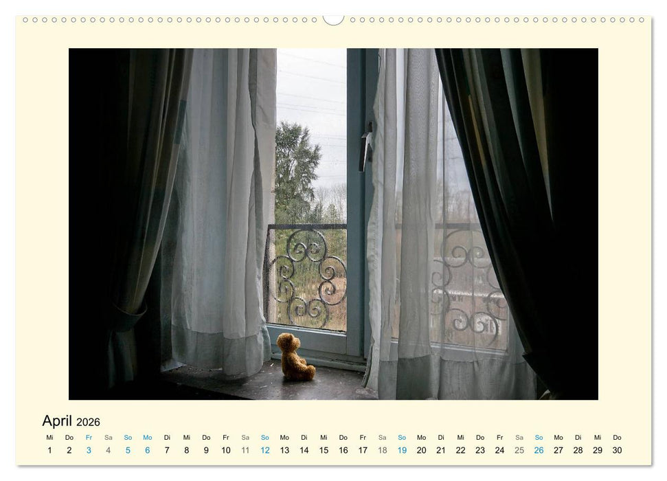 Herr Bär urban explorer (CALVENDO Premium Wandkalender 2026)