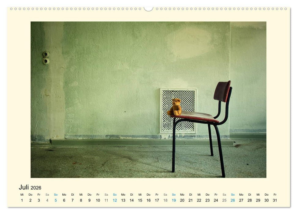 Herr Bär urban explorer (CALVENDO Premium Wandkalender 2026)