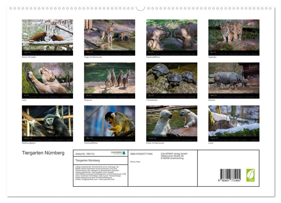 Tiergarten Nürnberg (CALVENDO Premium Wandkalender 2026)