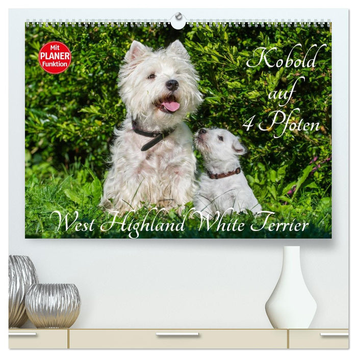 Kobold auf 4 Pfoten - West Highland White Terrier (CALVENDO Premium Wandkalender 2026)