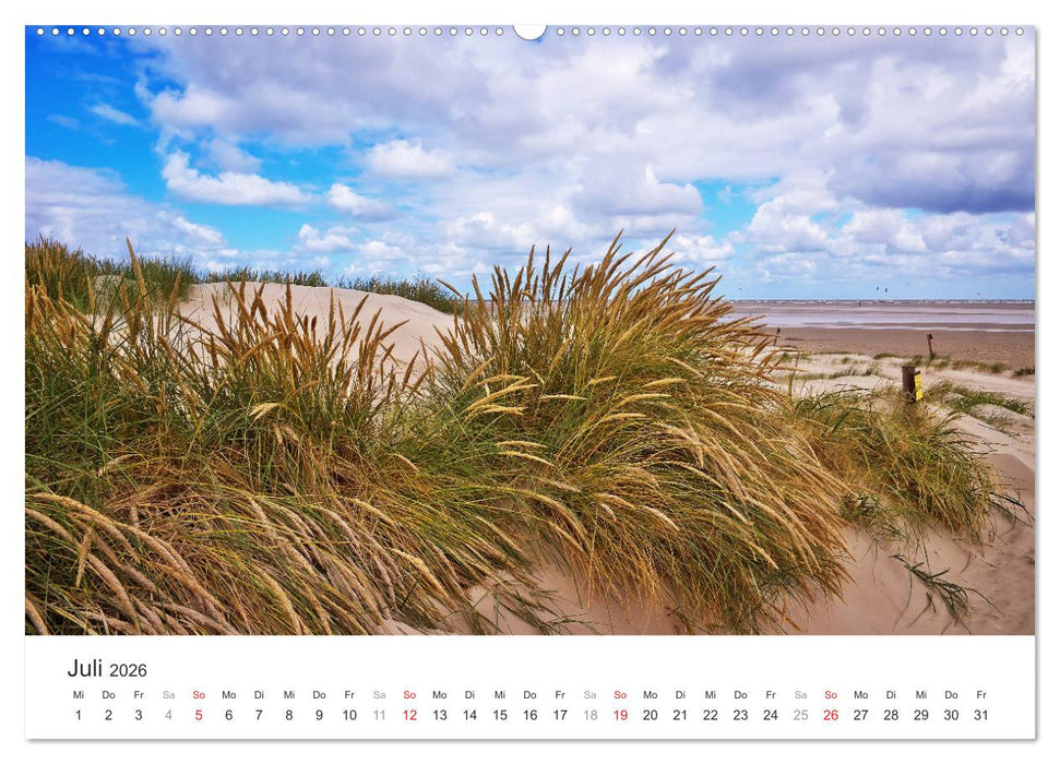 Eiderstedt Impressionen (CALVENDO Premium Wandkalender 2026)