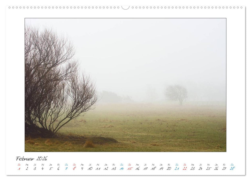 Amrum - Farben einer Insel (CALVENDO Premium Wandkalender 2026)
