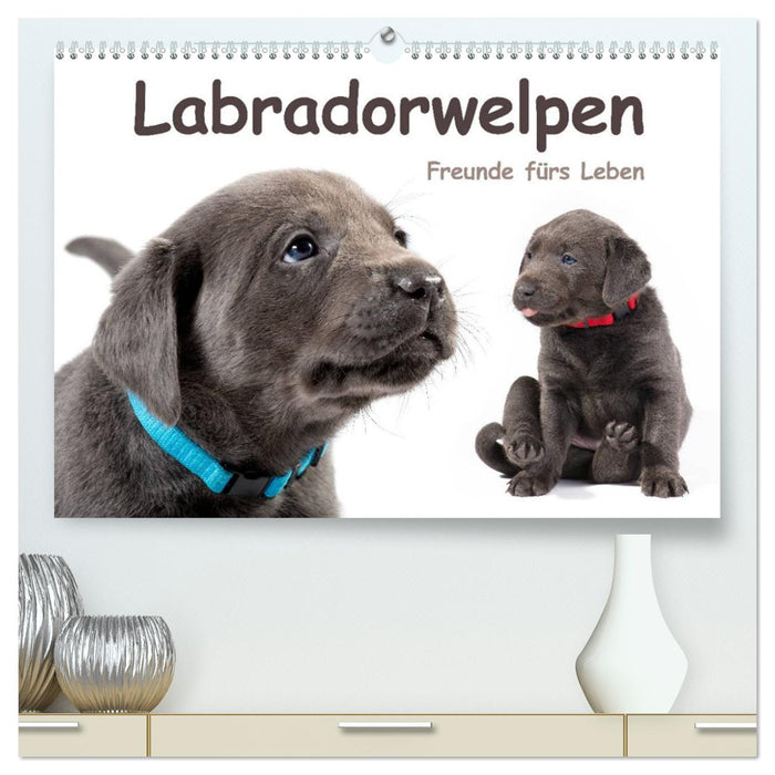 Labradorwelpen - Freunde fürs Leben (CALVENDO Premium Wandkalender 2026)