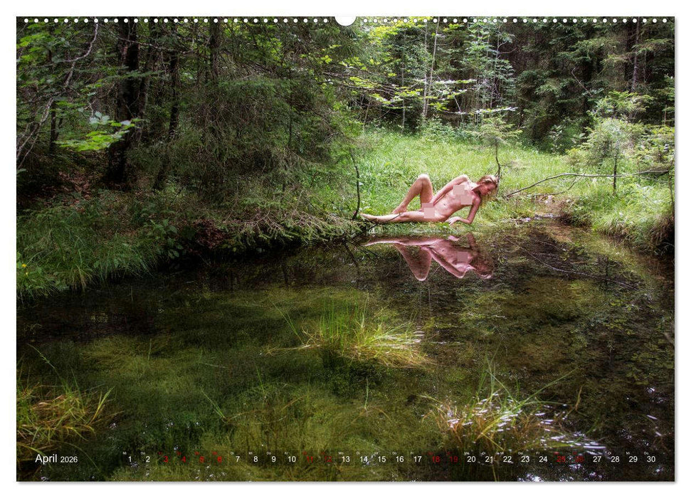 Akt und Natur - im Zauberwald (CALVENDO Wandkalender 2026)