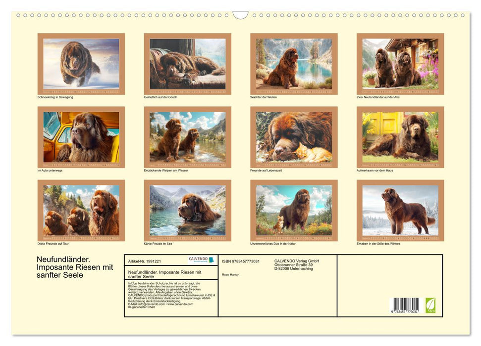Neufundländer. Imposante Riesen mit sanfter Seele (CALVENDO Wandkalender 2026)