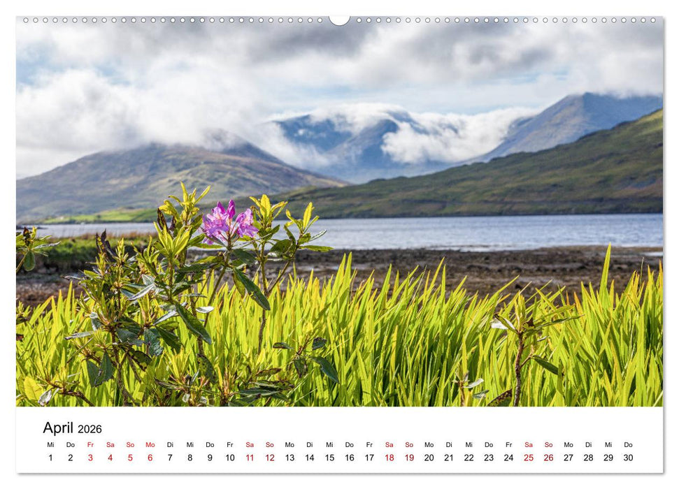 Irland, Land des Lichts (CALVENDO Wandkalender 2026)