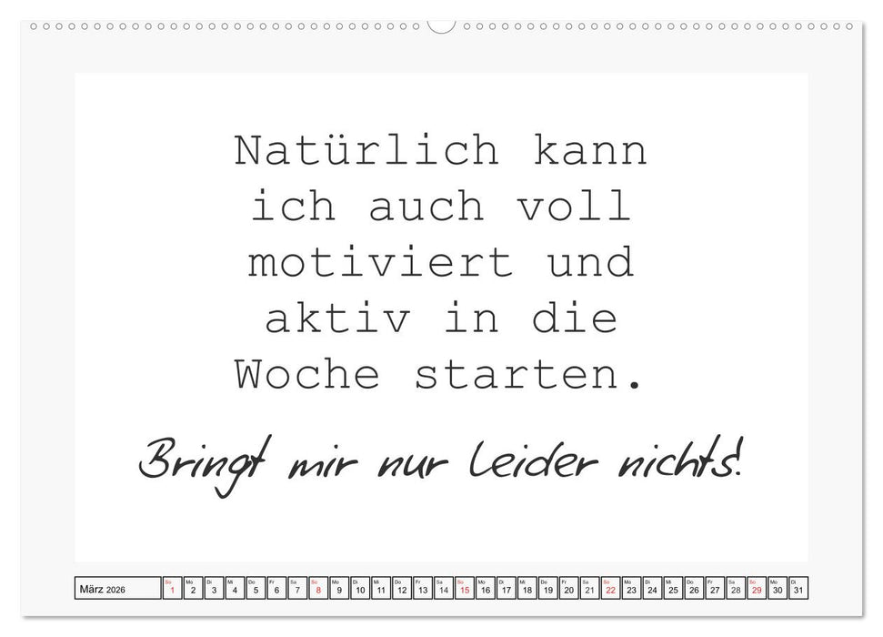 Typo-Kalender für das Büro. Sarkasmus und fiese Sprüche (CALVENDO Wandkalender 2026)