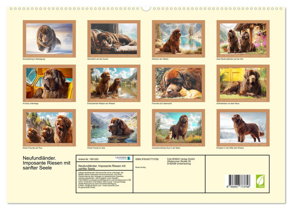Neufundländer. Imposante Riesen mit sanfter Seele (CALVENDO Premium Wandkalender 2026)