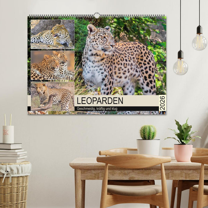 Leoparden. Geschmeidig, kräftig und klug (CALVENDO Wandkalender 2026)