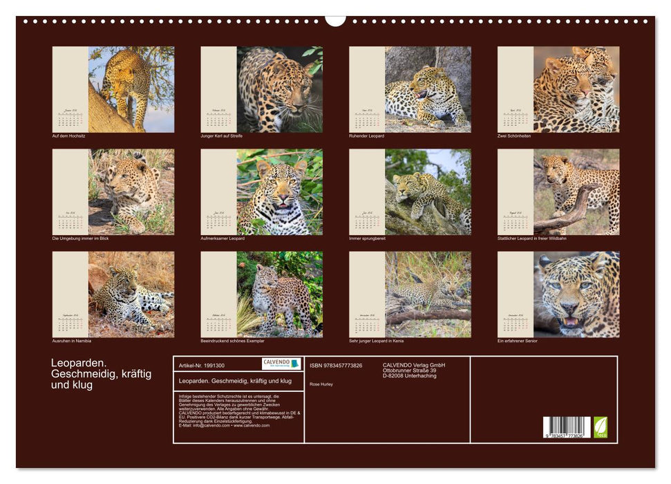 Leoparden. Geschmeidig, kräftig und klug (CALVENDO Wandkalender 2026)