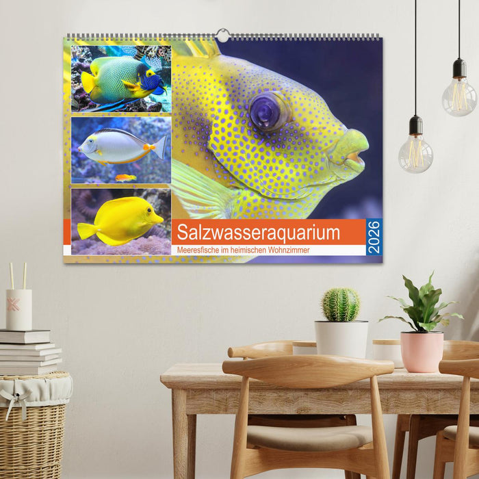 Salzwasseraquarium. Meeresfische im heimischen Wohnzimmer (CALVENDO Wandkalender 2026)
