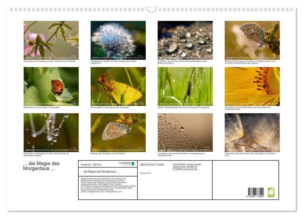 ... die Magie des Morgentaus ... (CALVENDO Wandkalender 2026)
