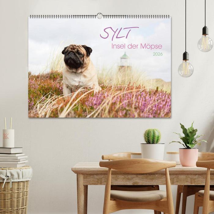 Sylt - Insel der Möpse (CALVENDO Wandkalender 2026)