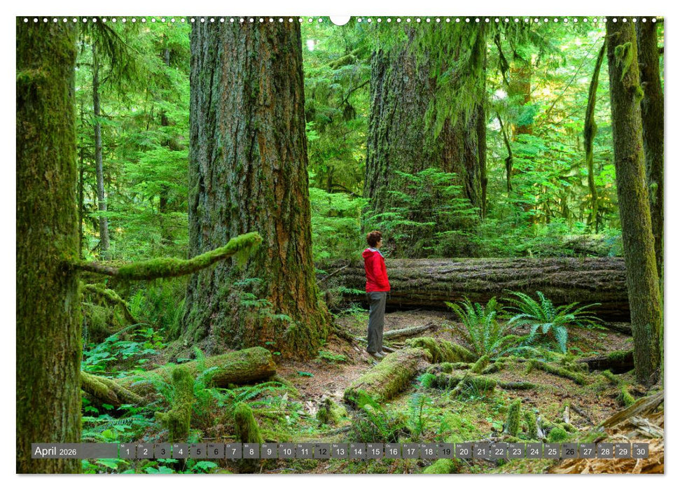 Kanada der Westen (CALVENDO Wandkalender 2026)