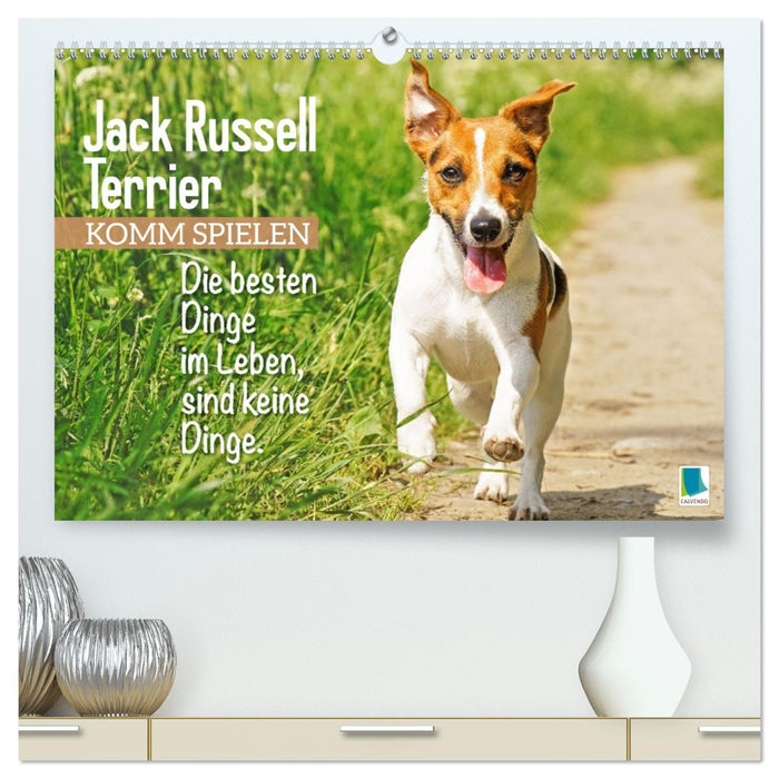 Jack Russell Terrier: Komm spielen (CALVENDO Premium Wandkalender 2026)