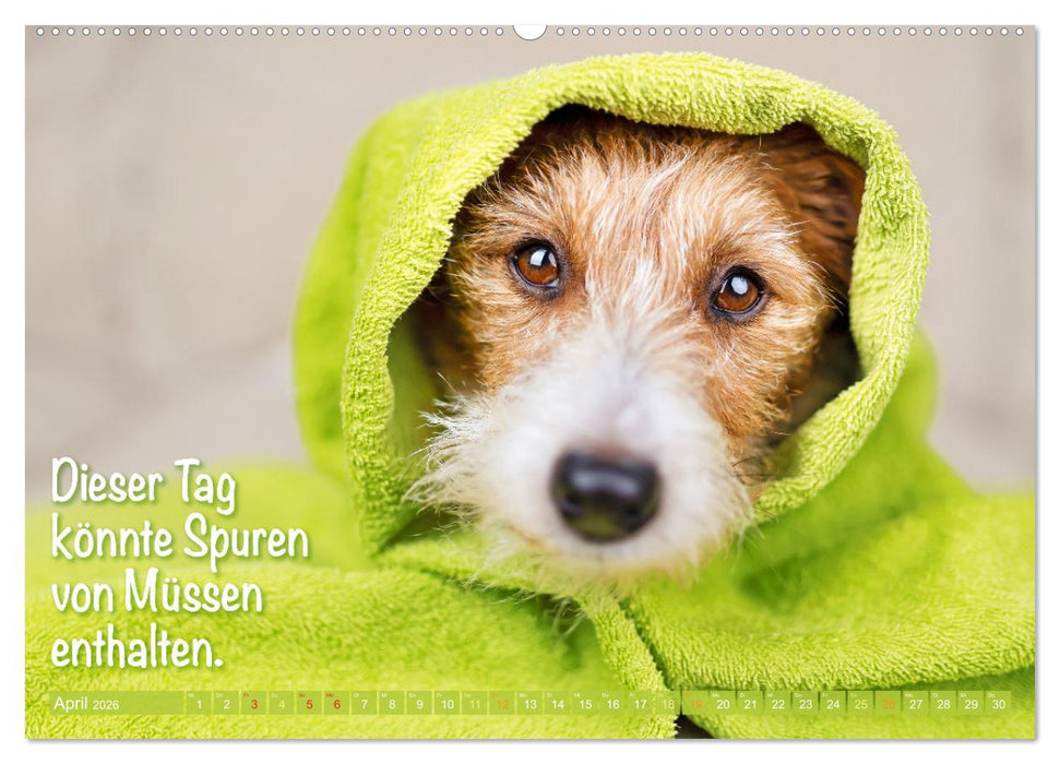 Jack Russell Terrier: Komm spielen (CALVENDO Premium Wandkalender 2026)