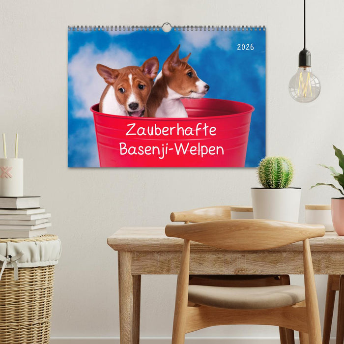 Zauberhafte Basenji-Welpen (CALVENDO Wandkalender 2026)