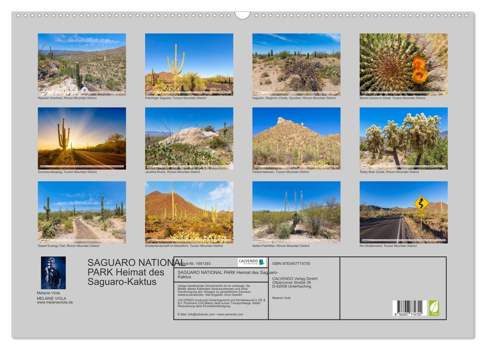 SAGUARO NATIONAL PARK Heimat des Saguaro-Kaktus (CALVENDO Wandkalender 2026)