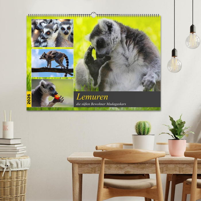 Lemuren die süßen Bewohner Madagaskars (CALVENDO Wandkalender 2026)