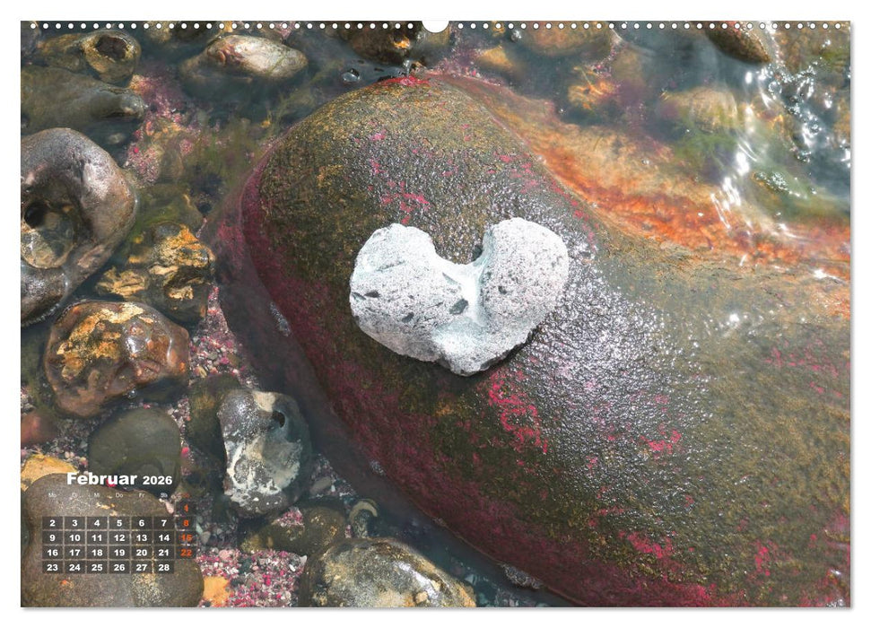 Für Dich! - Eine Liebeserklärung auf steinisch (CALVENDO Wandkalender 2026)