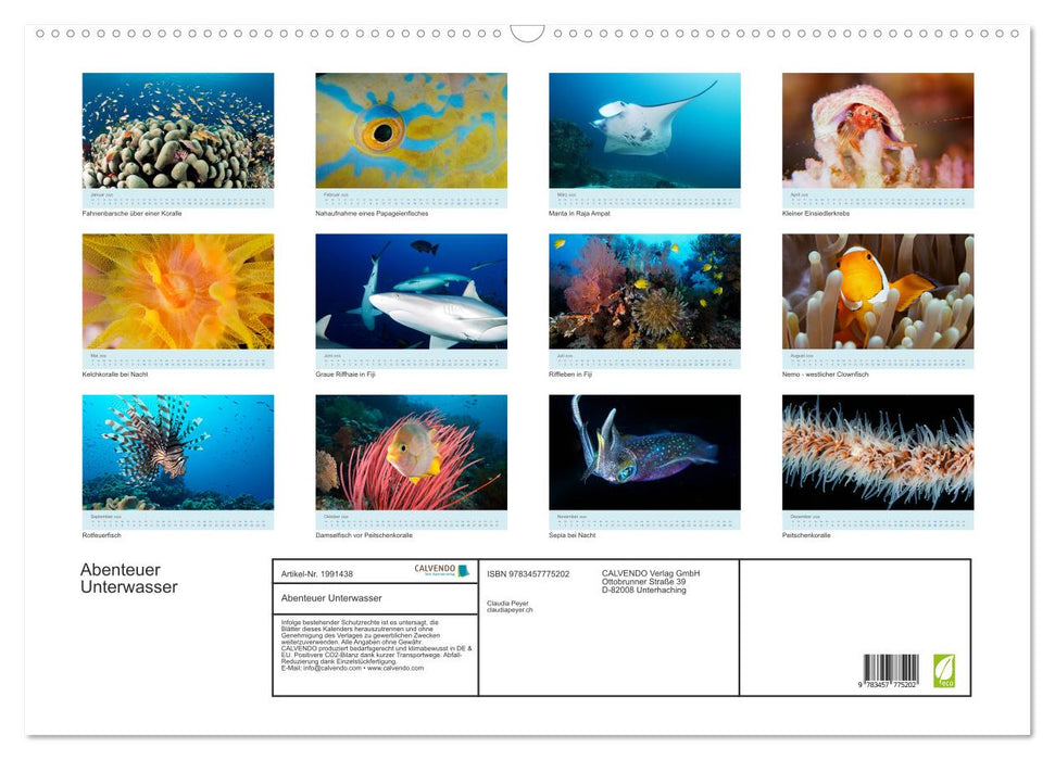 Abenteuer Unterwasser (CALVENDO Wandkalender 2026)