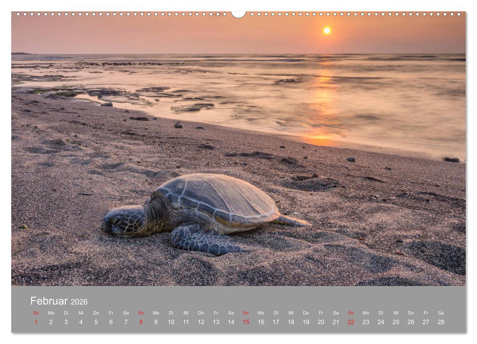 SPIRIT OF HAWAII (CALVENDO Wandkalender 2026)
