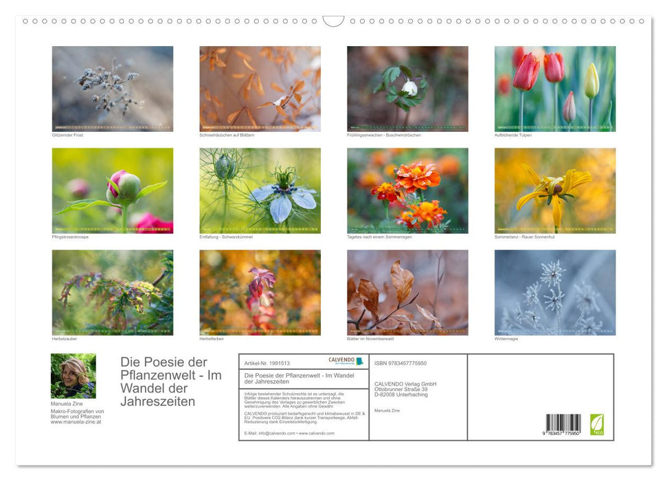 Die Poesie der Pflanzenwelt - Im Wandel der Jahreszeiten (CALVENDO Wandkalender 2026)