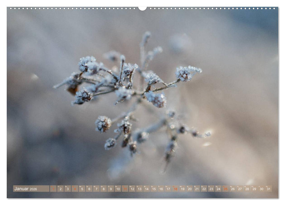 Die Poesie der Pflanzenwelt - Im Wandel der Jahreszeiten (CALVENDO Wandkalender 2026)
