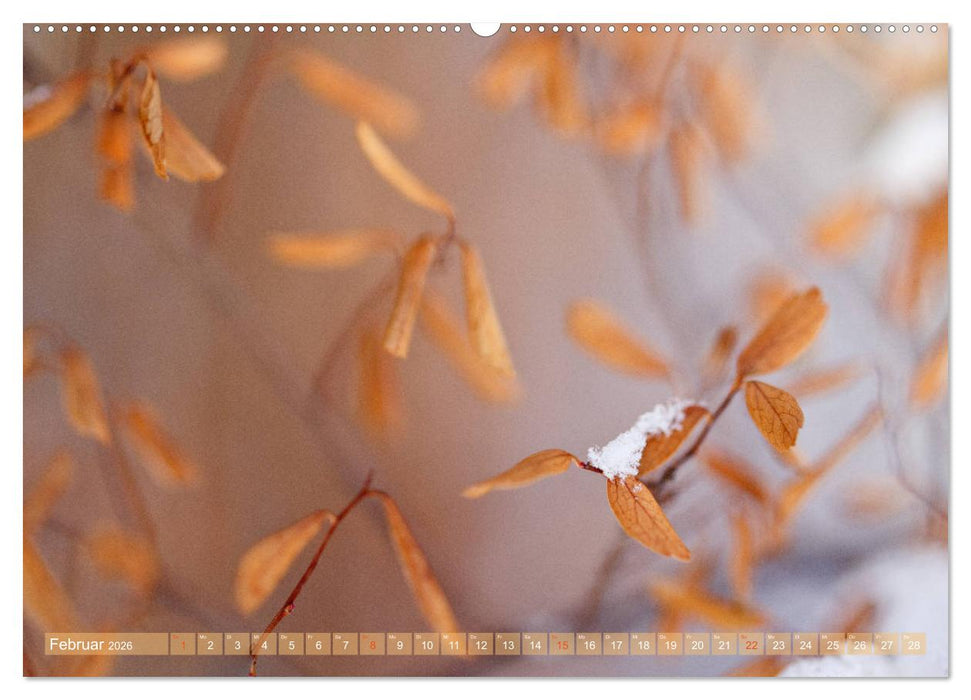 Die Poesie der Pflanzenwelt - Im Wandel der Jahreszeiten (CALVENDO Wandkalender 2026)