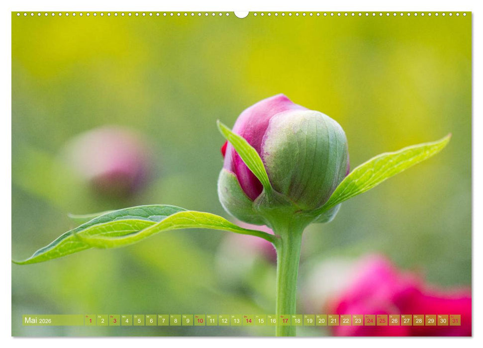 Die Poesie der Pflanzenwelt - Im Wandel der Jahreszeiten (CALVENDO Wandkalender 2026)