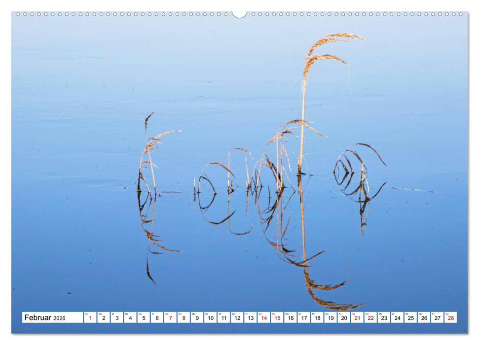 Cotentin – unser Stück vom Paradies (CALVENDO Wandkalender 2026)