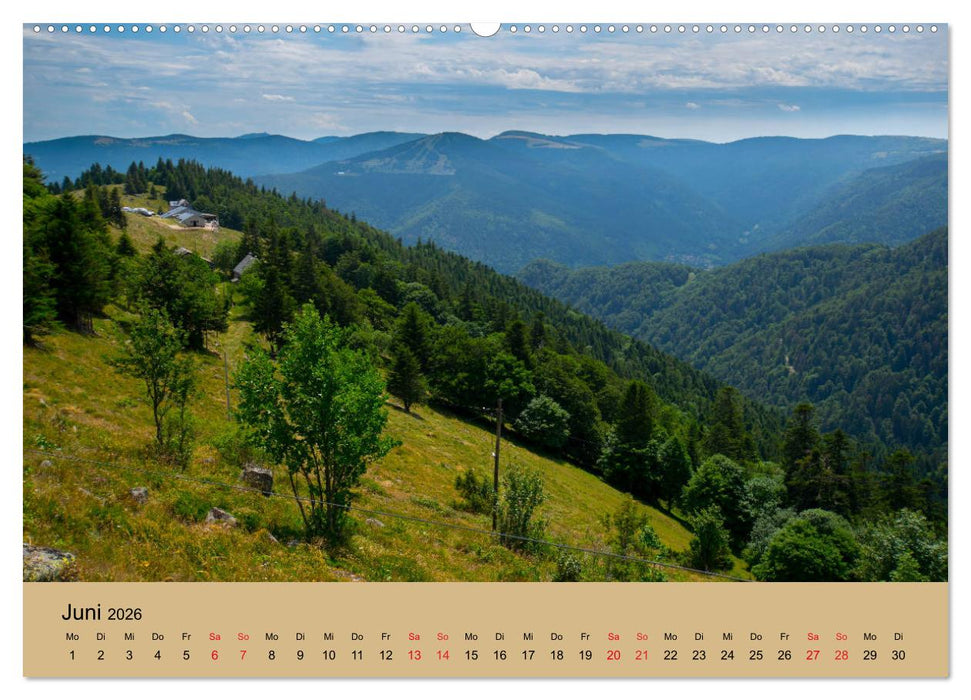 Landschaften im Elsass (CALVENDO Wandkalender 2026)