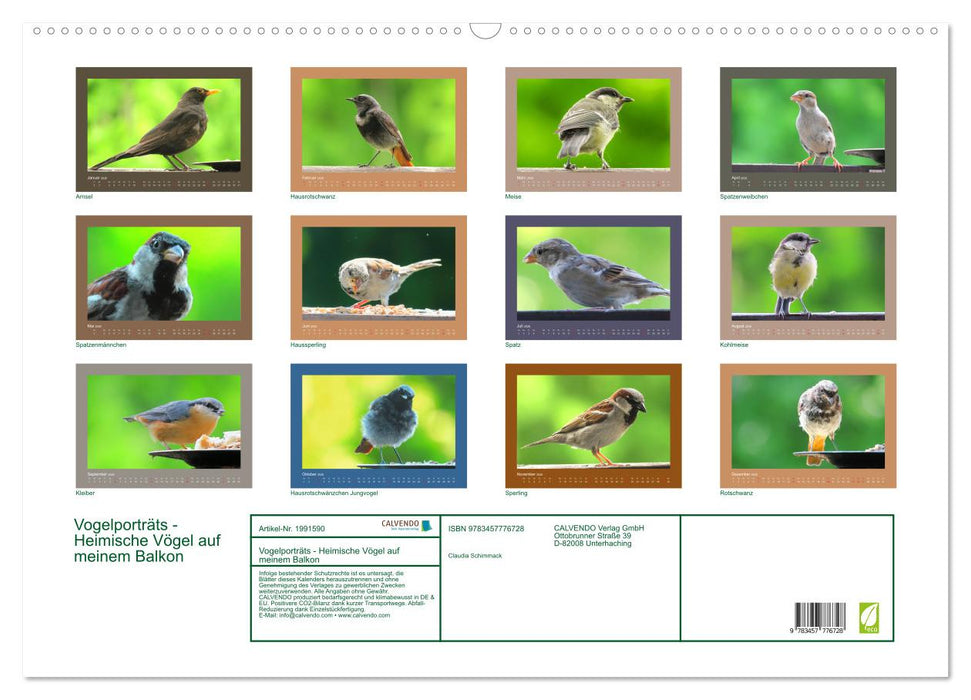 Vogelporträts - Heimische Vögel auf meinem Balkon (CALVENDO Wandkalender 2026)