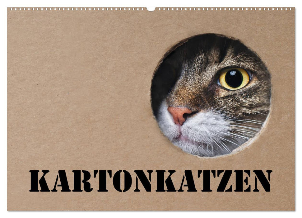 Karton Katzen (CALVENDO Wandkalender 2026)