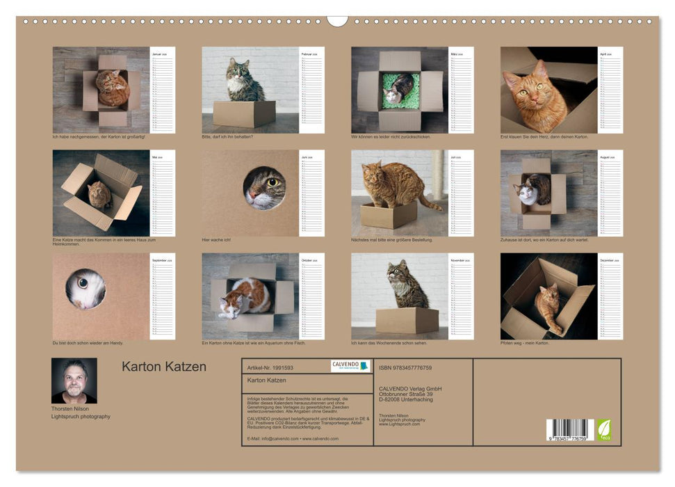 Karton Katzen (CALVENDO Wandkalender 2026)
