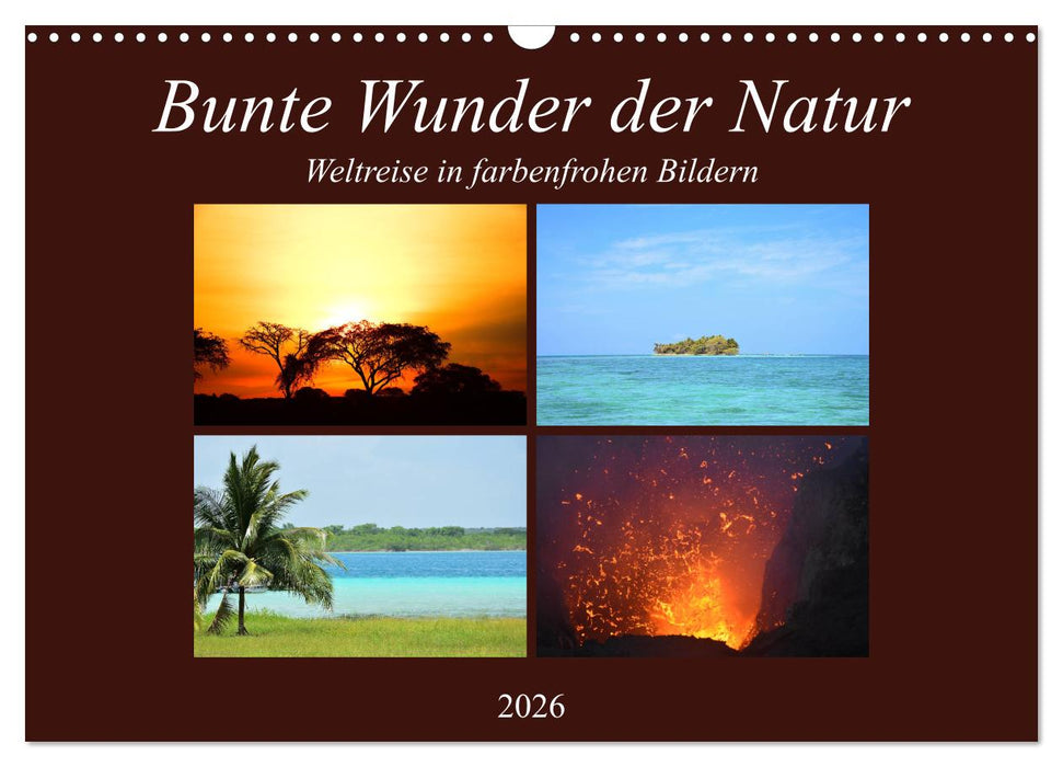 Bunte Wunder der Natur (CALVENDO Wandkalender 2026)