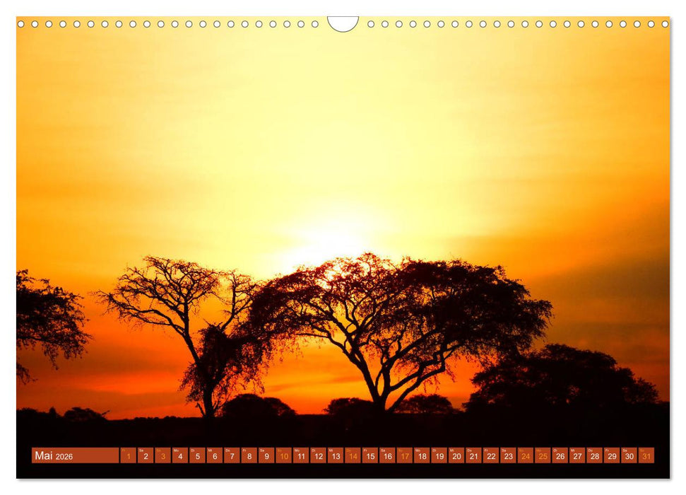 Bunte Wunder der Natur (CALVENDO Wandkalender 2026)