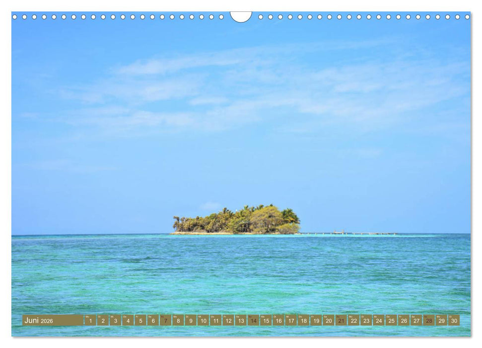 Bunte Wunder der Natur (CALVENDO Wandkalender 2026)