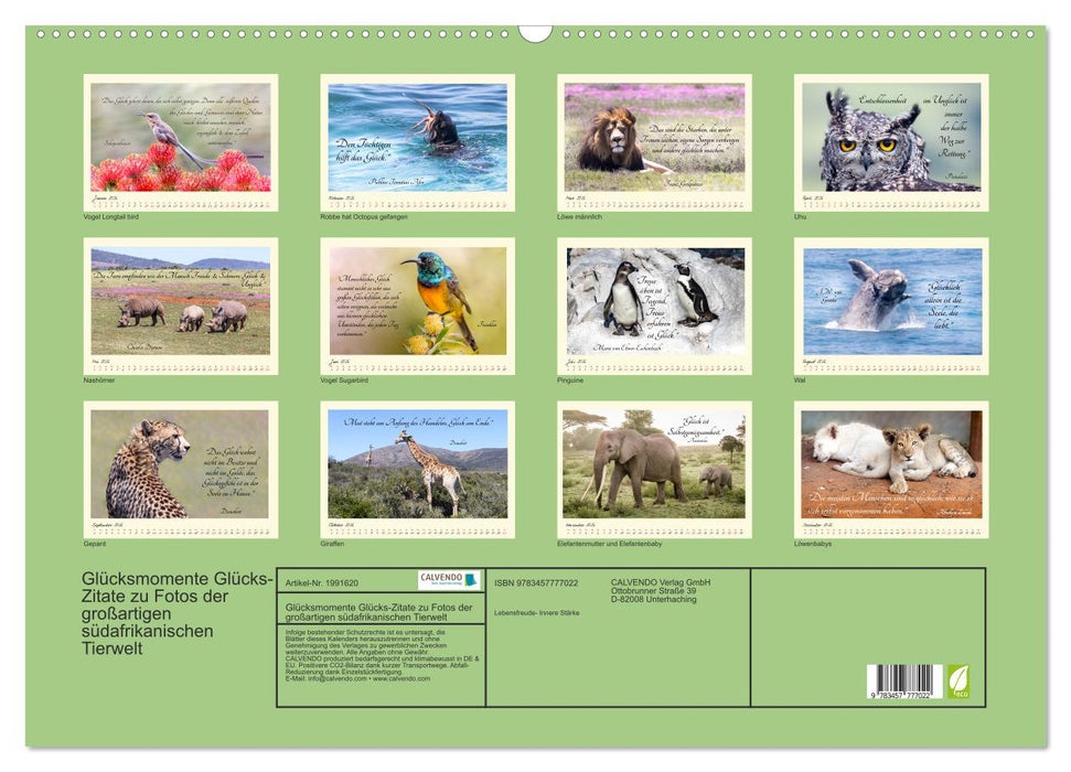 Glücksmomente Glücks-Zitate zu Fotos der großartigen südafrikanischen Tierwelt (CALVENDO Wandkalender 2026)