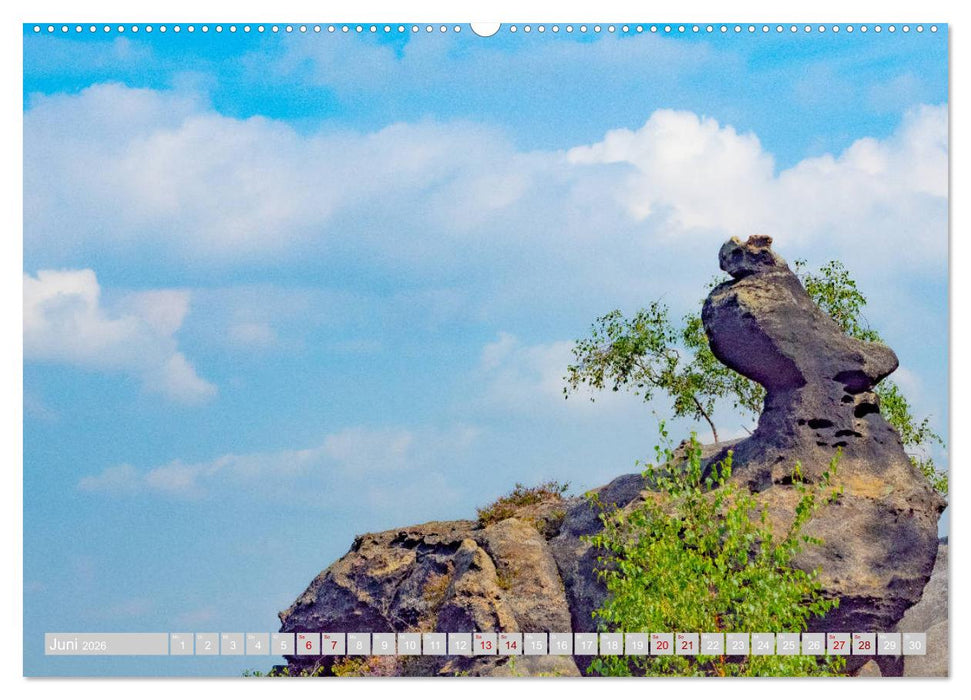 Naturpark Zittauer Gebirge (CALVENDO Wandkalender 2026)
