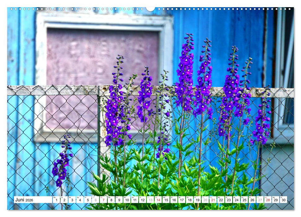 Groß Rominten - Das Tor zur Rominter Heide (CALVENDO Wandkalender 2026)