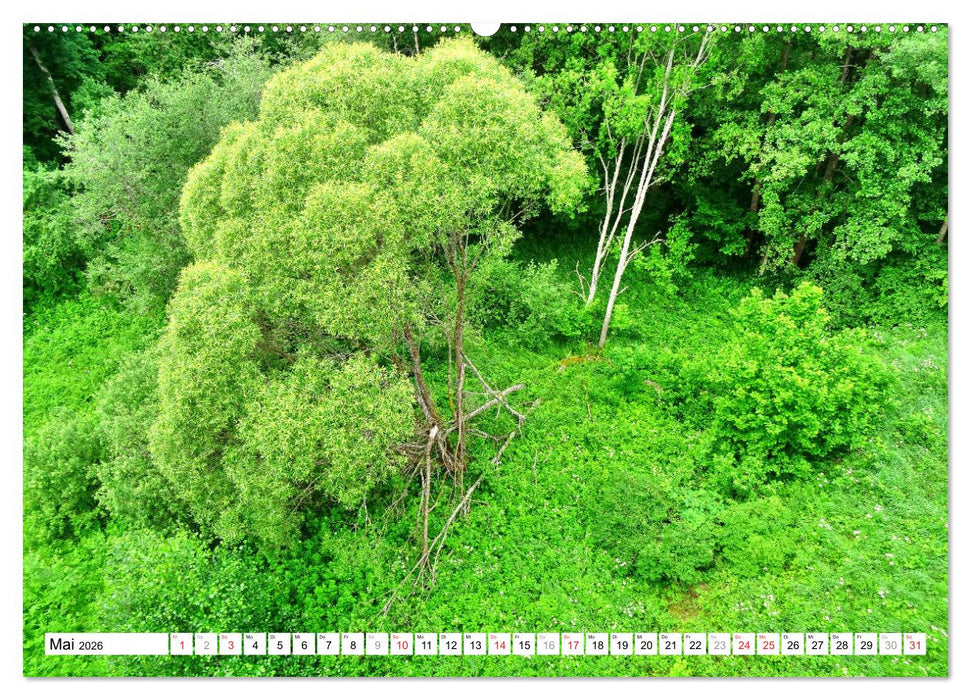Schienen ins Nichts - Ein Stück ostpreußischer Eisenbahngeschichte (CALVENDO Wandkalender 2026)