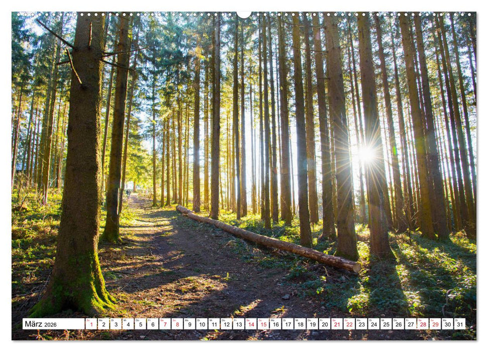 Idyllischer Schwarzwald (CALVENDO Wandkalender 2026)