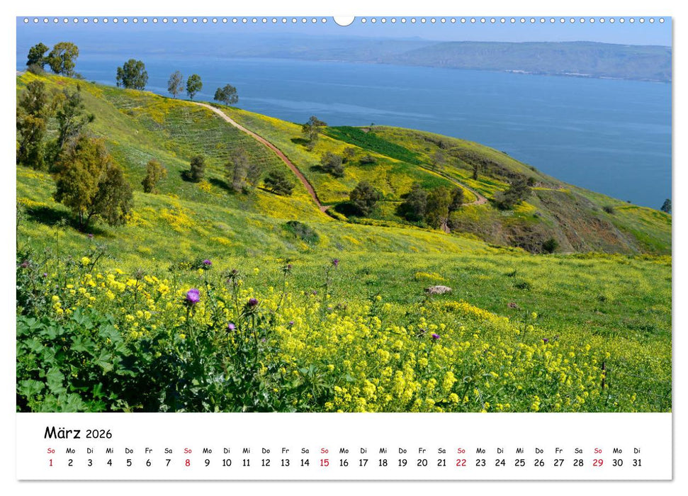 Traumziel Israel (CALVENDO Wandkalender 2026)