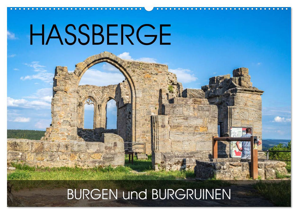 Haßberge - Burgen und Burgruinen (CALVENDO Wandkalender 2026)